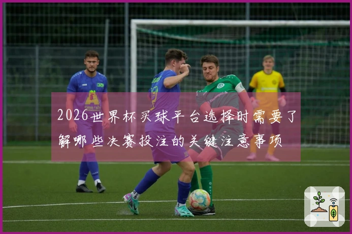 2026世界杯买球平台选择时需要了解哪些决赛投注的关键注意事项
