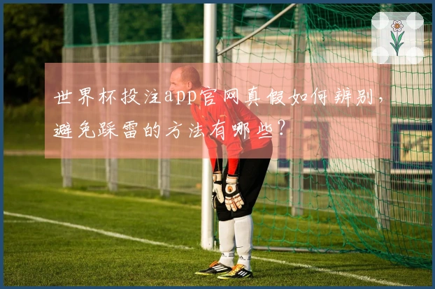 世界杯投注app官网真假如何辨别，避免踩雷的方法有哪些？