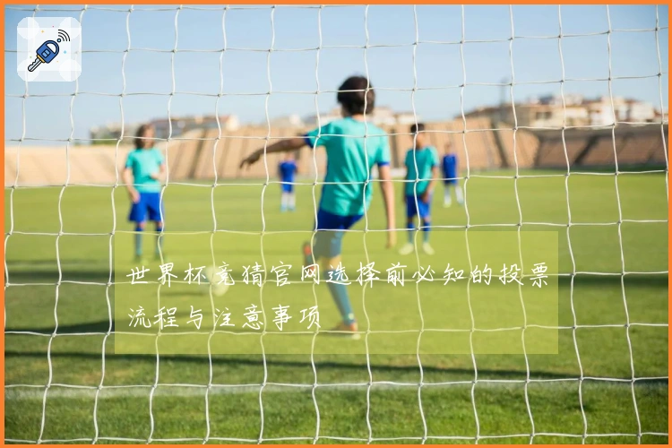 世界杯竞猜官网选择前必知的投票流程与注意事项