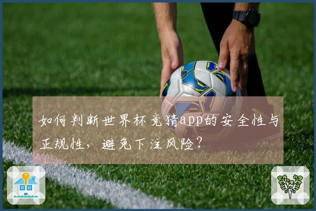 如何判断世界杯竞猜app的安全性与正规性，避免下注风险？