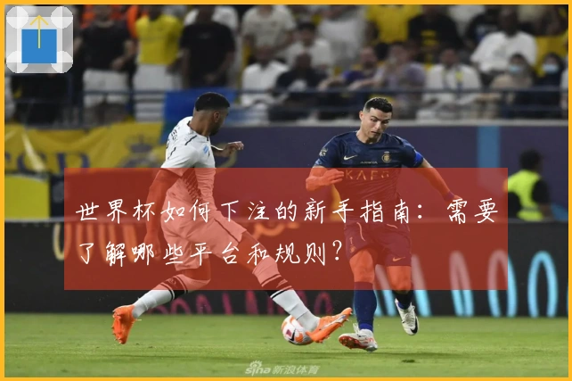 世界杯如何下注的新手指南：需要了解哪些平台和规则？