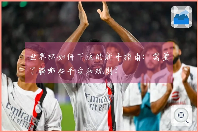 世界杯如何下注的新手指南：需要了解哪些平台和规则？