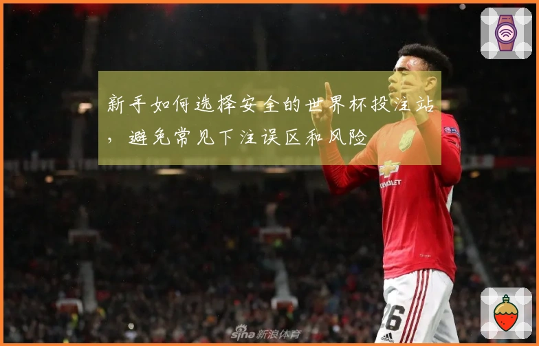 新手如何选择安全的世界杯投注站，避免常见下注误区和风险
