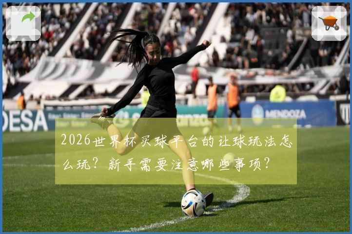 2026世界杯买球平台的让球玩法怎么玩？新手需要注意哪些事项？