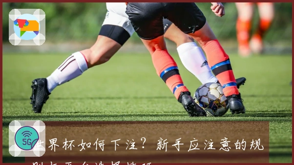 世界杯如何下注？新手应注意的规则与平台选择技巧
