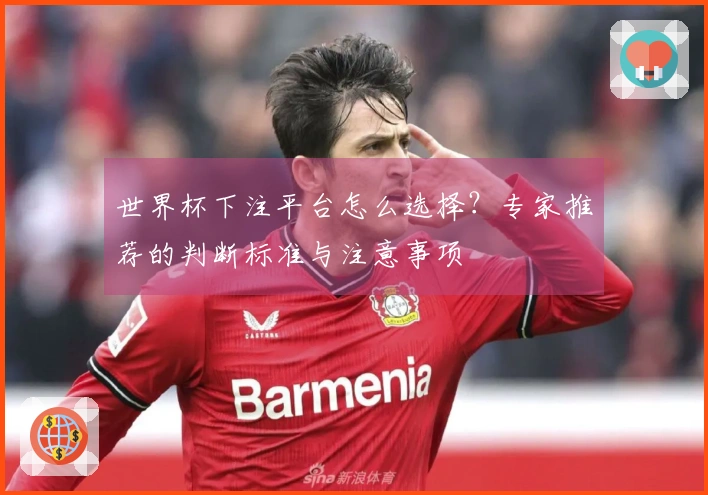 世界杯下注平台怎么选择？专家推荐的判断标准与注意事项