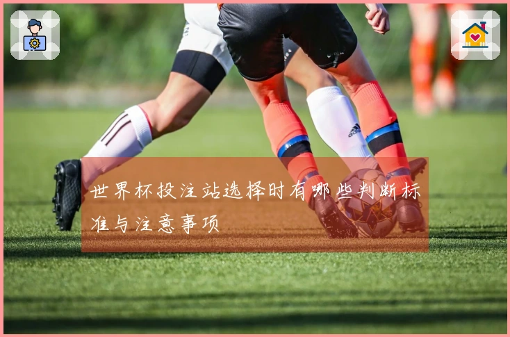 世界杯投注站选择时有哪些判断标准与注意事项