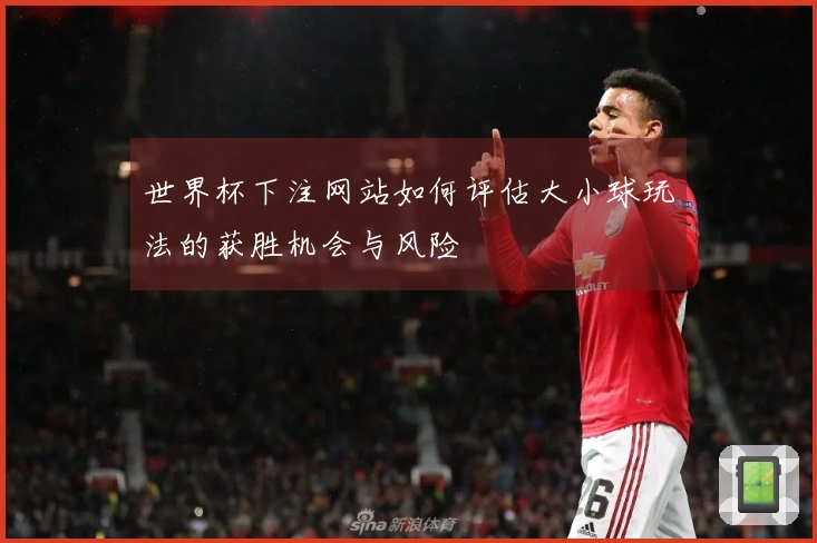 世界杯下注网站如何评估大小球玩法的获胜机会与风险