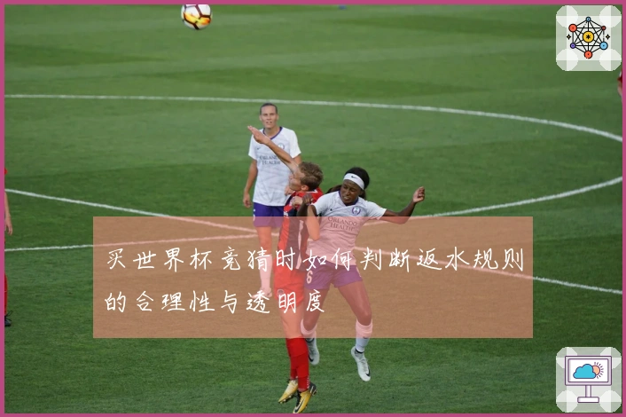 买世界杯竞猜时如何判断返水规则的合理性与透明度