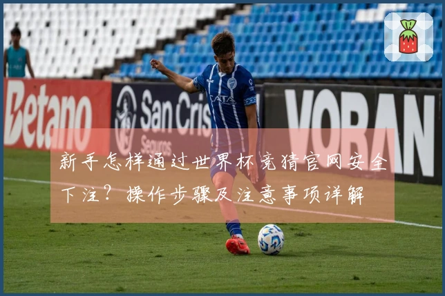 新手怎样通过世界杯竞猜官网安全下注？操作步骤及注意事项详解