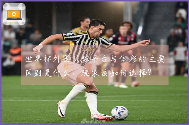 世界杯外围买球平台与体彩的主要区别是什么，玩家该如何选择？
