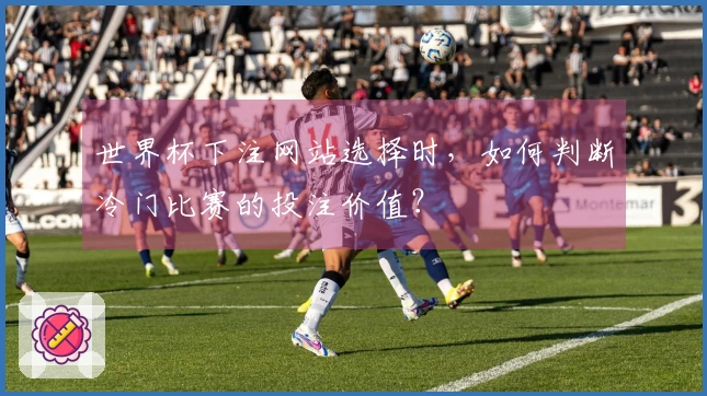 世界杯下注网站选择时，如何判断冷门比赛的投注价值？