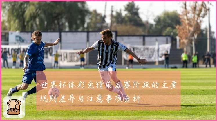 世界杯体彩竞猜前后赛阶段的主要规则差异与注意事项分析