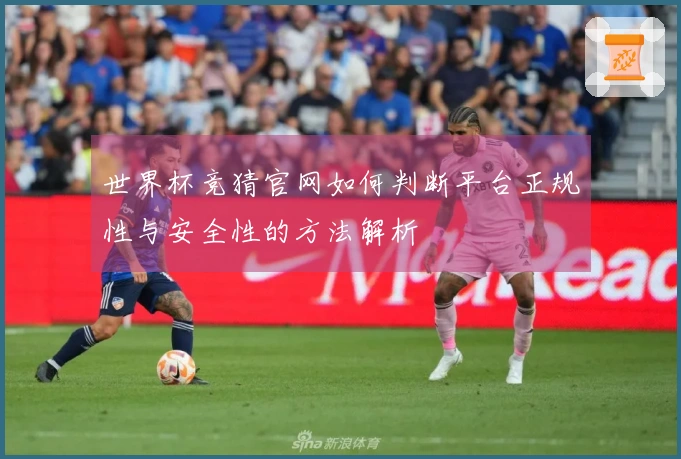 世界杯竞猜官网如何判断平台正规性与安全性的方法解析