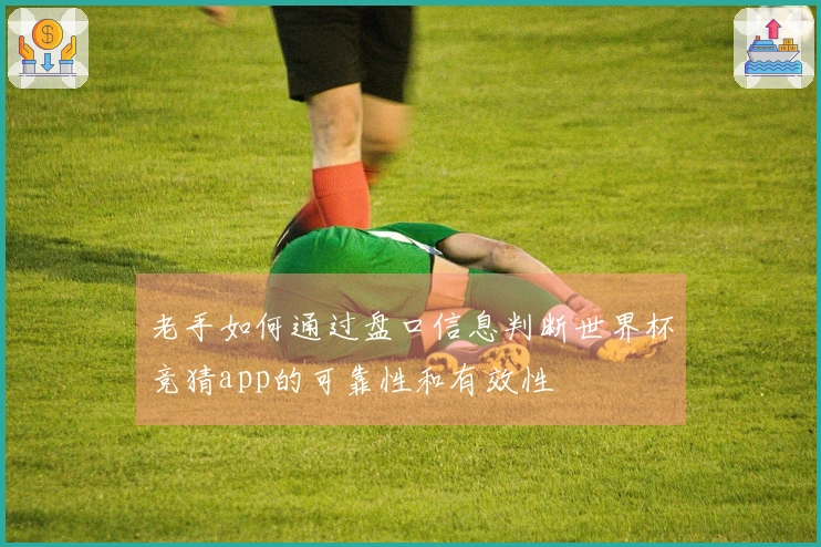 老手如何通过盘口信息判断世界杯竞猜app的可靠性和有效性