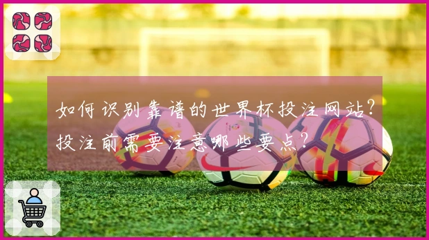 如何识别靠谱的世界杯投注网站？投注前需要注意哪些要点？