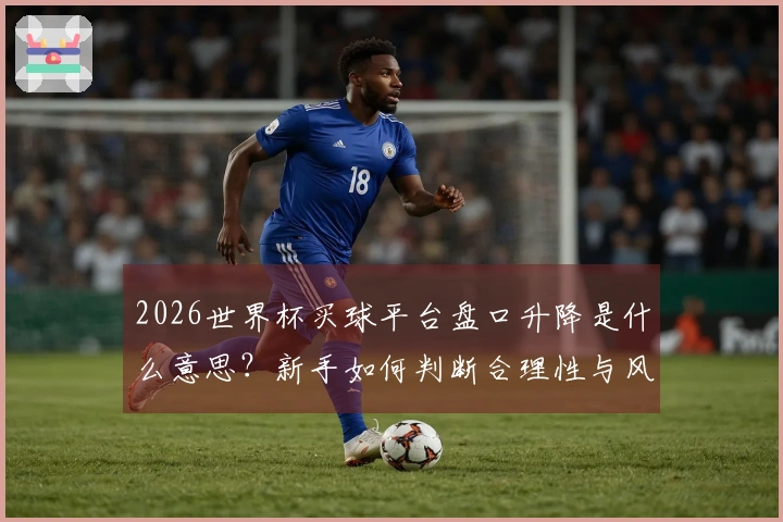 2026世界杯买球平台盘口升降是什么意思？新手如何判断合理性与风险