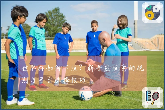 世界杯如何下注？新手应注意的规则与平台选择技巧