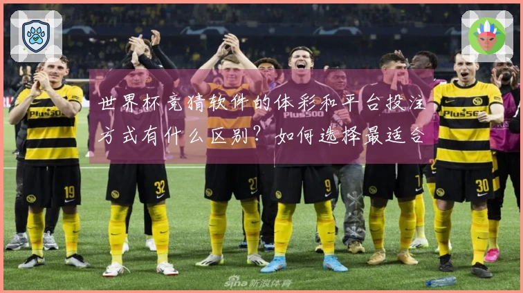世界杯竞猜软件的体彩和平台投注方式有什么区别？如何选择最适合自己的？