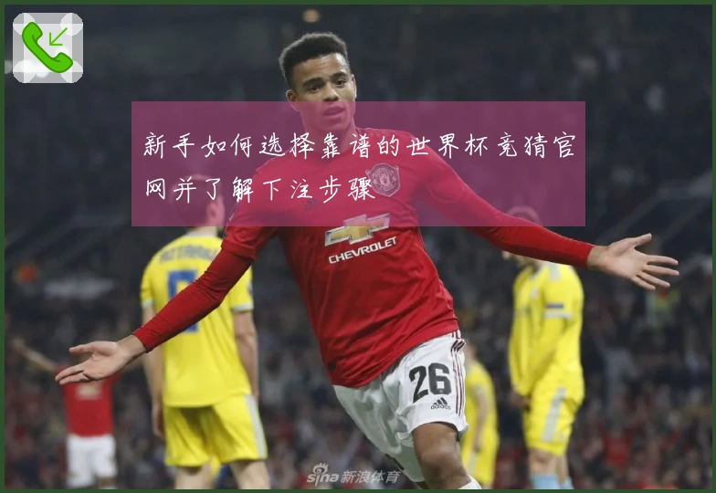 新手如何选择靠谱的世界杯竞猜官网并了解下注步骤