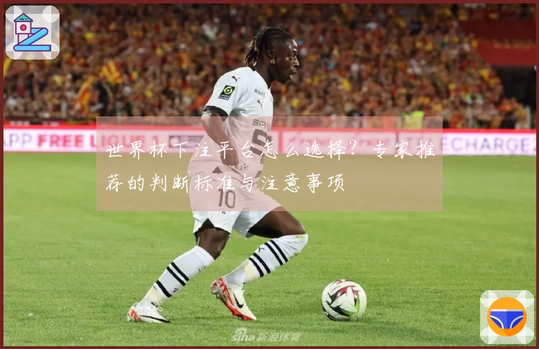 世界杯下注平台怎么选择？专家推荐的判断标准与注意事项