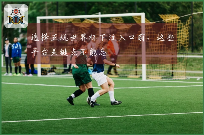 选择正规世界杯下注入口前，这些平台关键点不能忘