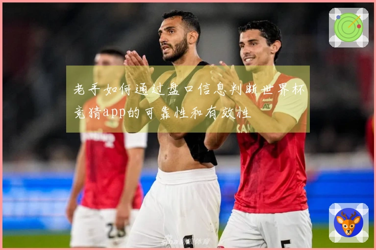 老手如何通过盘口信息判断世界杯竞猜app的可靠性和有效性