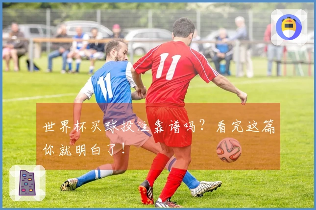 世界杯买球投注靠谱吗？看完这篇你就明白了！