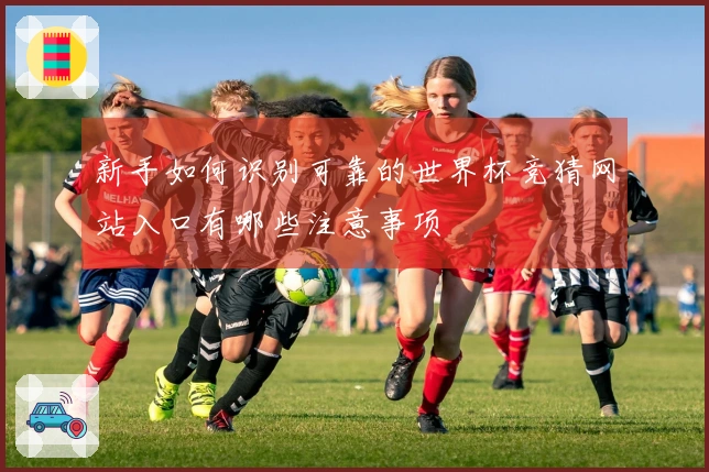 新手如何识别可靠的世界杯竞猜网站入口有哪些注意事项