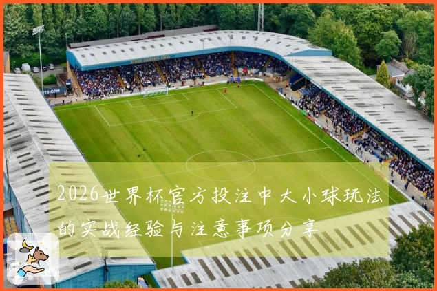 2026世界杯官方投注中大小球玩法的实战经验与注意事项分享