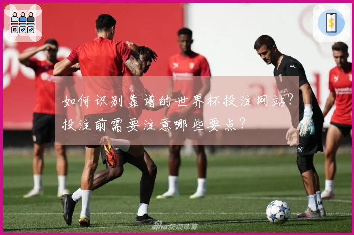 如何识别靠谱的世界杯投注网站？投注前需要注意哪些要点？