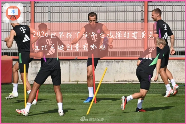 2026世界杯下注平台选择时需要关注的关键因素有哪些