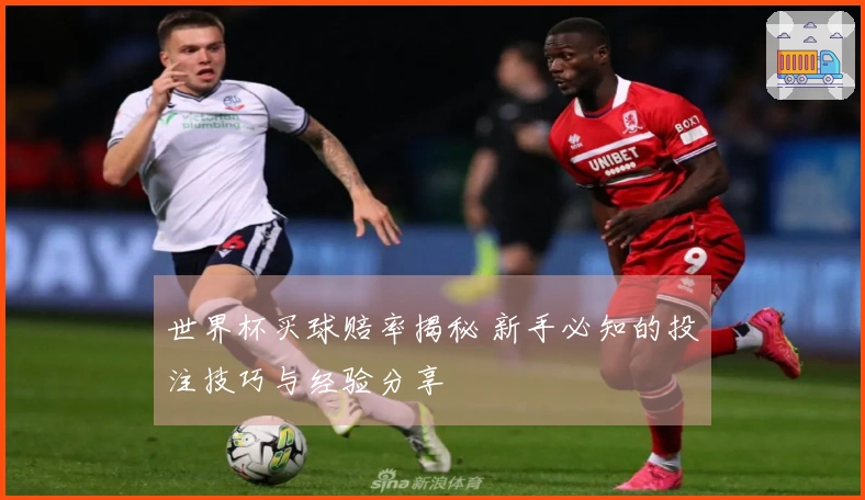 世界杯买球赔率揭秘 新手必知的投注技巧与经验分享