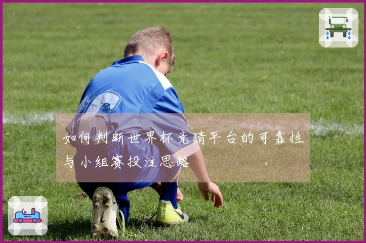 如何判断世界杯竞猜平台的可靠性与小组赛投注思路