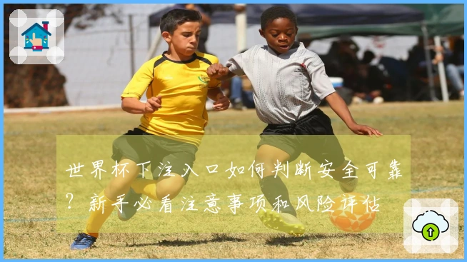 世界杯下注入口如何判断安全可靠？新手必看注意事项和风险评估