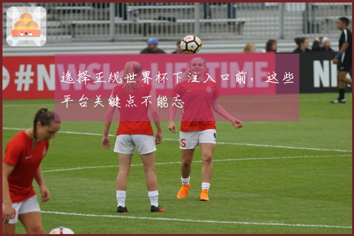 选择正规世界杯下注入口前，这些平台关键点不能忘